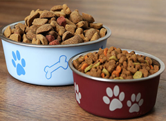 Pet Food